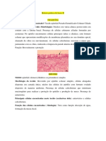 laminas de histologia