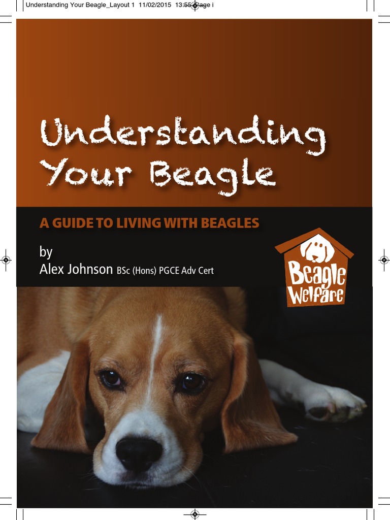 Understanding Your Beagle | PDF | Beagle | Dogs