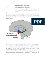 Sistemas límbico y autonómico regulan emociones