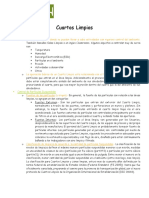 Cleanroom Espanol.pdf