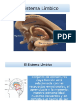 Sistema Limbico Presentación