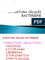 2. Structura Celulei Bacteriene