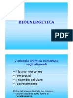 Bio Energetic A