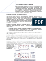 Electrofisiologia Del Corazon