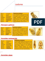 Parasitologia Veterianria