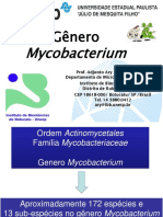 Aula Mycobacterium