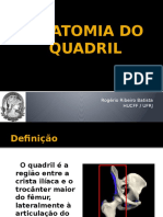 Anatomia Do Quadril