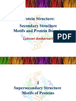 Prot Struc. Domain n Motif Protein (4)