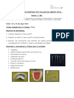 Guiasiliconapesada PDF