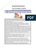 NEUROPATOLOGIAS_EN_PEQUENAS_ESPECIES.docx