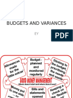 Budgets and Variances