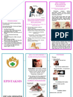 Leaflet Epistaksis