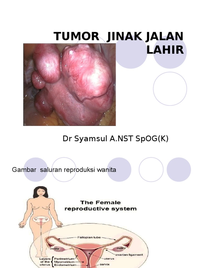 Issiq ayol orgazm video