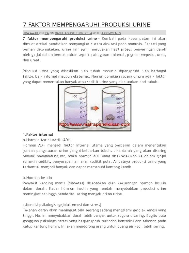 7 Faktor Mempengaruhi Produksi Urine Pdf