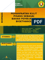 PP Biomassa