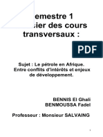 Dossier Sur Le Pétrole en Afrique