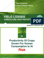 Crop losses.pdf