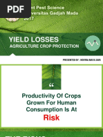 Crop losses.pdf