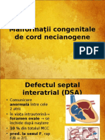 MCC Necianogene