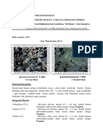 Petrografi Untuk Umum HariUtama PDF