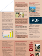 triptico del dengue.pdf