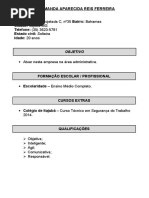 curriculo modelo 32.doc