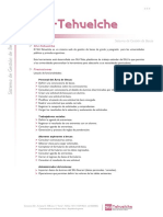 Modulo4 4 AcademicoSIU-Tehuelche