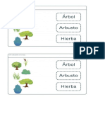 Las Partes de Una Planta