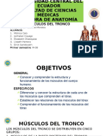 Anatomia Seminario.pptx