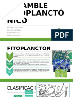 ENSAMBLE-FITOPLANCTÓNICO-1