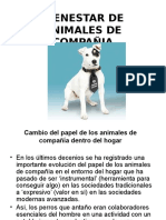 4-Bienestar de Animalesw de Compañia