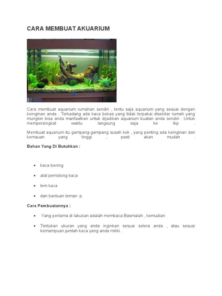 Cara Membuat Akuarium