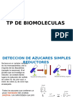 Tp de Lab Biomoleculas