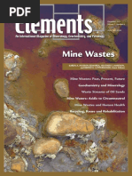 Mine-wastes.pdf