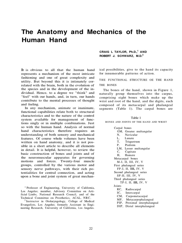 Anatomy and Mechanics of the Human Hand | Hand | Thumb
