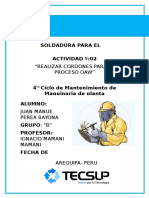 Informe de Soldaudra OAW