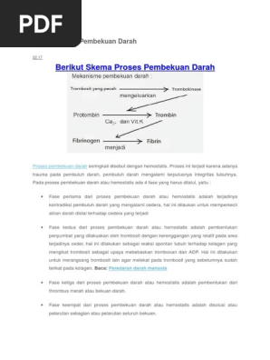 Skema Proses Pembekuan Darah