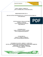 Preinformes Practicas Quimica Ambeintal