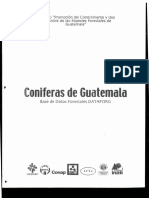 Coniferas en Guatemala PDF