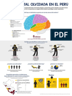 Salud Mental en El Perú