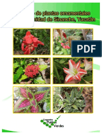 217434788-73578734-Catalogo-de-Plantas-Ornamentales-de-Sinanche-Yucatan.pdf