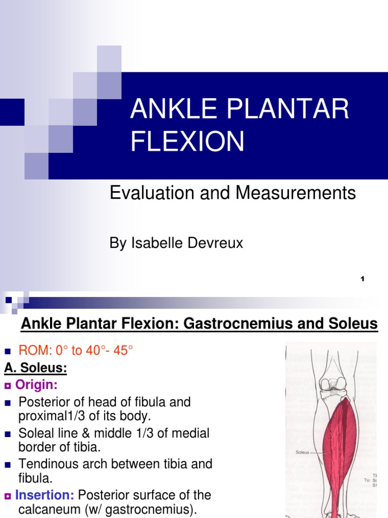 10 +Manual+Muscle+Testing+of+the+Ankle+Plantar+Flexion Foot Human Leg