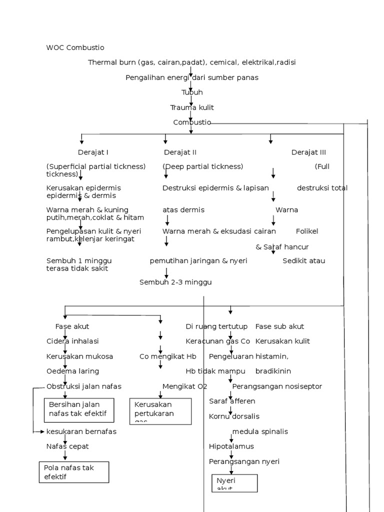 Derajat dan Dampak Combustio | PDF