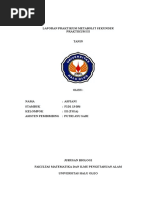 Download Laporan Praktikum Metabolit Sekunder by Nonong Isdayanti SN349088886 doc pdf