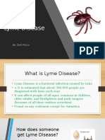 health lyme disease project