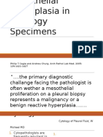 Mesothelial Hyperplasia in Cytology Specimens MODIF