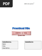 Practical File SQL Queries DBMS