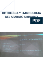 Histologia y Embriologia Del Aparato Urinario