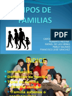 tipos defamilias-