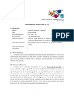 97005822-50590050-Modelo-de-Informe-Esperado.pdf